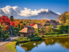 Tour du lịch Nhật Bản Tokyo - Fuji mùa Hè 5N4Đ