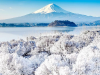 Tour du lịch Nhật Bản Tokyo - Fuji mùa Đông 5N4Đ