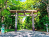 Tour Nhật Bản Mùa Đông: Osaka – Shirakawa-go – Fuji – Tokyo 5N5Đ 