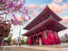 Tour Nhật Bản Hoa Anh Đào 2026: Osaka – Kyoto – Fuji – Tokyo – Narita 5N5Đ 