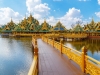 Thái Lan: Bangkok - Pattaya (Bảo tàng Lighting Art và Vườn khinh khí cầu, Đảo San Hô, Chợ nổi Bốn Miền, thành cổ Muang Boran, Café cá KOI Paboon Café, tặng thưởng thức món sườn cay và xôi xoài Thái Lan) 5N4Đ
