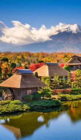 Tour du lịch Nhật Bản Tokyo - Fuji mùa Hè 5N4Đ