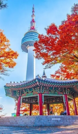 Tour du lịch Hàn Quốc mùa Thu: Seoul - Nami - Everland 5N4Đ
