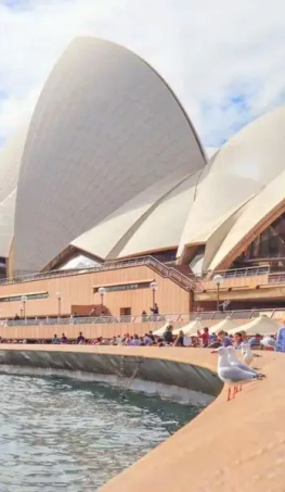 Tour Úc Mono Sydney - Free Day 5N4Đ (bay Vietjet Air)