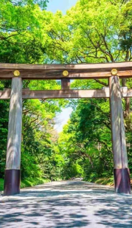 Tour Nhật Bản Mùa Đông: Osaka – Shirakawa-go – Fuji – Tokyo 5N5Đ 