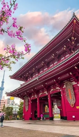 Tour Nhật Bản Hoa Anh Đào 2026: Osaka – Kyoto – Fuji – Tokyo – Narita 5N5Đ 