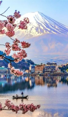 Tour Nhật Bản Hoa Anh Đào 2026: Tokyo – Fuji 5N4Đ