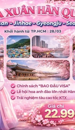 TOUR HÀN QUỐC (Busan - Jinhae - Gyeongju - Seoul)