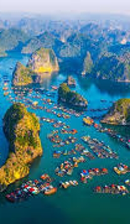 Tour Đảo Cát Bà 3 ngày 2 đêm