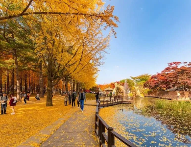 Tour du lịch Hàn Quốc mùa Thu: Seoul - Nami - Everland 5N4Đ