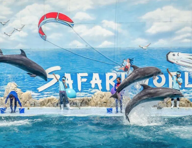 Tour Bangkok - Pattaya chương trình Safari 5 ngày 4 đêm 
