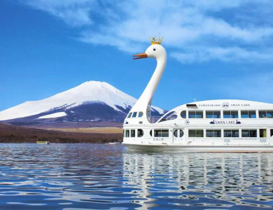 Tour Nhật Bản Cung Đường Vàng mùa Thu Narita – Tokyo – Fuji – Kyoto – Osaka 5N5Đ