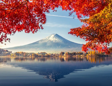 Tour Nhật Bản Cung Đường Vàng mùa Thu Narita – Tokyo – Fuji – Kyoto – Osaka 5N5Đ