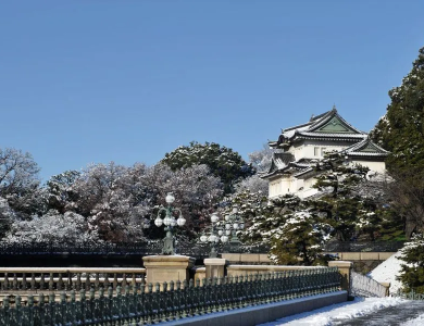Tour du lịch Nhật Bản Tokyo - Fuji mùa Đông 5N4Đ
