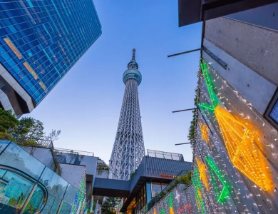 Tour du lịch Nhật Bản Tokyo - Fuji mùa Đông 5N4Đ