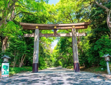 Tour Nhật Bản Mùa Đông: Osaka – Shirakawa-go – Fuji – Tokyo 5N5Đ 