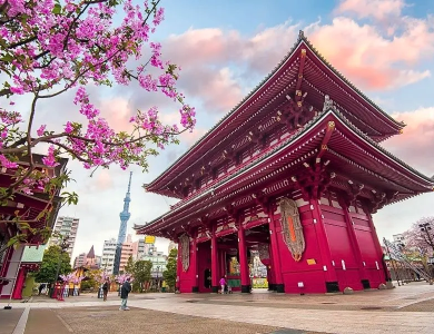 Tour Nhật Bản Hoa Anh Đào 2026: Tokyo – Fuji 5N4Đ