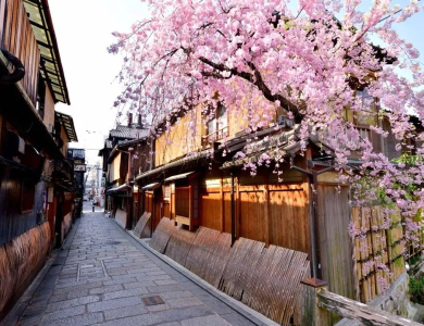 Tour Nhật Bản Hoa Anh Đào 2026: Osaka – Kyoto – Fuji – Tokyo – Narita 5N5Đ 