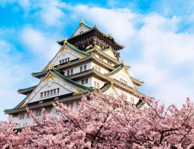 Tour Nhật Bản Hoa Anh Đào 2026: Osaka – Kyoto – Yamanashi – Tokyo 5N5Đ