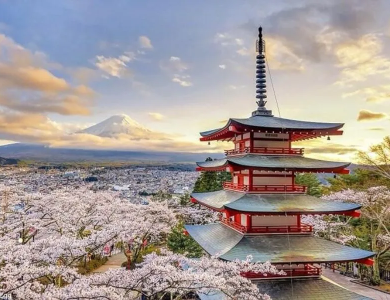 Tour Nhật Bản Hoa Anh Đào 2026: Osaka – Kyoto – Yamanashi – Tokyo 5N5Đ