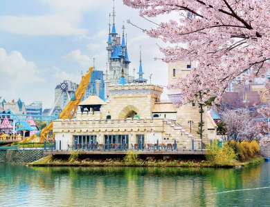 Tour Hàn Quốc Hoa Anh Đào 2026: Seoul – Nami Island – Đại Học Kyung Hee – Lotte World – Yeouido 5N4Đ