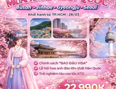 TOUR HÀN QUỐC (Busan - Jinhae - Gyeongju - Seoul)