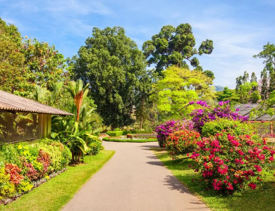 Tour du lịch Úc Melbourne 5 ngày 4 đêm
