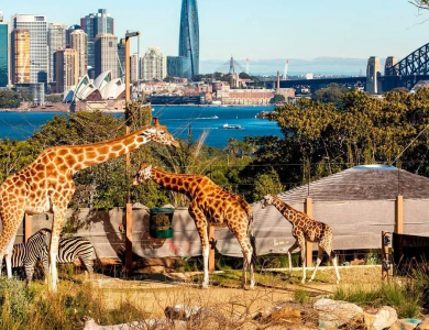Tour Úc Mono Sydney - Free Day 5N4Đ (bay Vietjet Air)