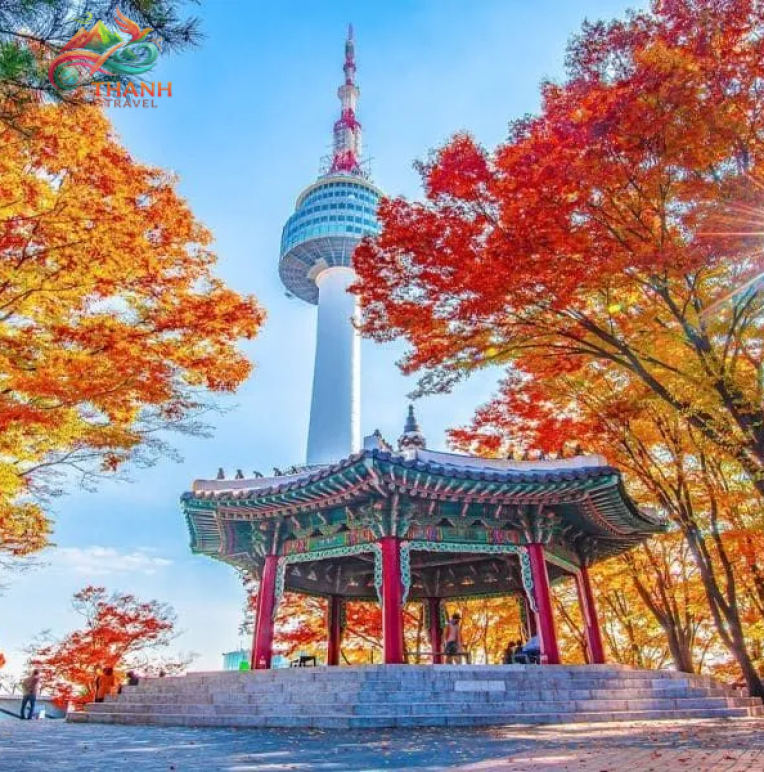 Tour du lịch Hàn Quốc mùa Thu: Seoul - Nami - Everland 5N4Đ