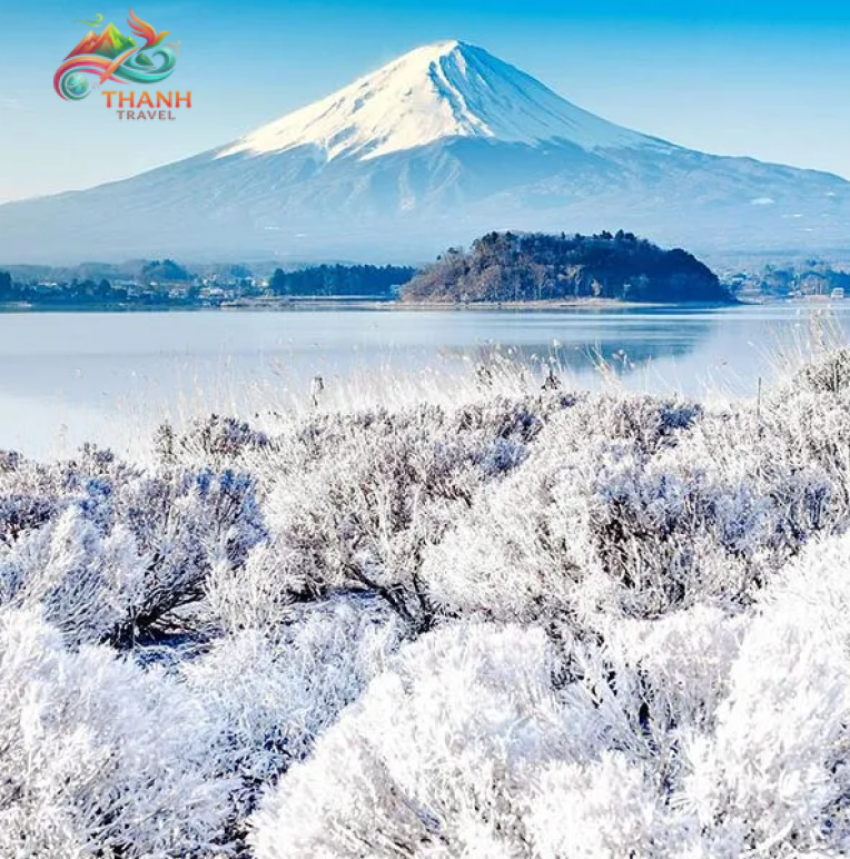 Tour du lịch Nhật Bản Tokyo - Fuji mùa Đông 5N4Đ
