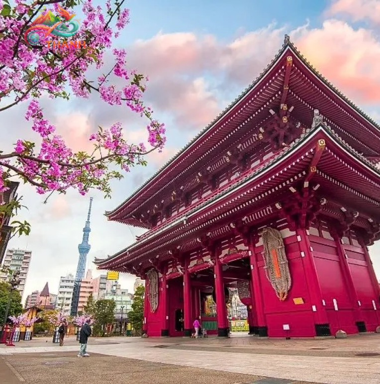 Tour Nhật Bản Hoa Anh Đào 2026: Osaka – Kyoto – Fuji – Tokyo – Narita 5N5Đ 