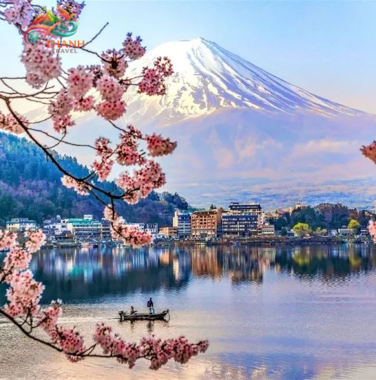 Tour Nhật Bản Hoa Anh Đào 2026: Tokyo – Fuji 5N4Đ