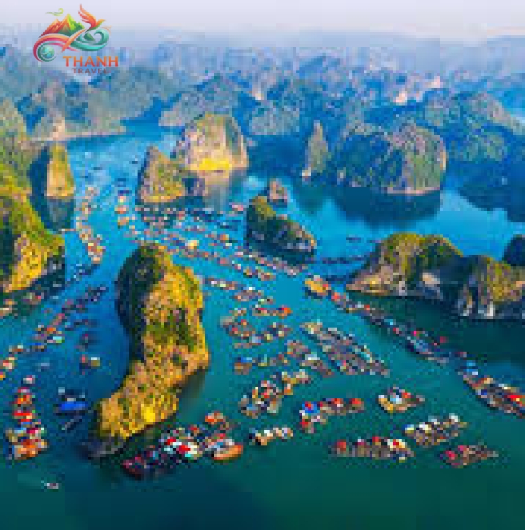 Tour Đảo Cát Bà 3 ngày 2 đêm